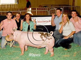 NBS 2011