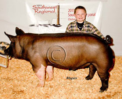 NJSA SW Regional