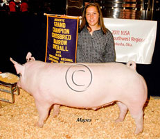 NJSA SW Regional