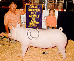 NJSA SW Regional