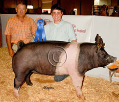 NJSA SW Regional