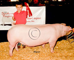 NJSA SW Regional