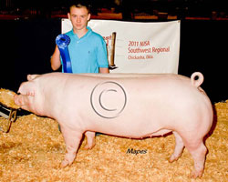 NJSA SW Regional