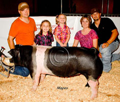 NJSA SW Regional