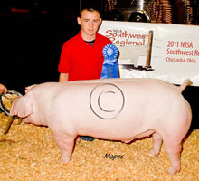 NJSA SW Regional