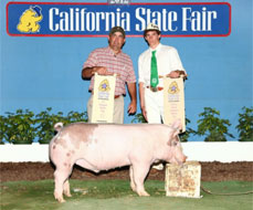 California State Fair
