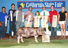 California State Fair