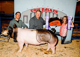 Cow Palace Show Pig Results