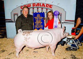 Cow Palace Show Pig Results