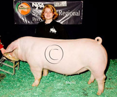 NJSA SE Regional