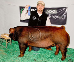 NJSA SE Regional