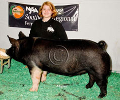 NJSA SE Regional