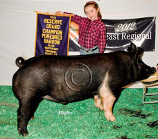 NJSA SE Regional