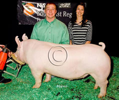 NJSA SE Regional