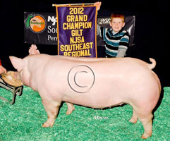 NJSA Southeast Regional