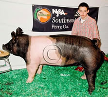 NJSA Southeast Regional
