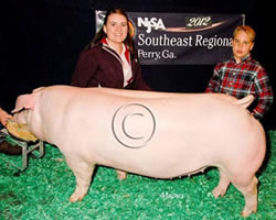 NJSA Southeast Regional
