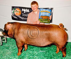 NJSA Southeast Regional