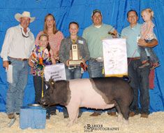 Colorado State Fair Show Pig Results
