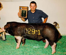 CPS Open Show