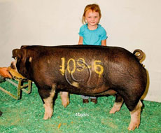 CPS Open Show