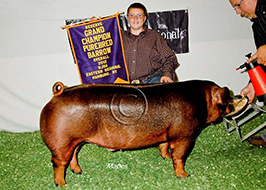 NJSA Eastern Regional Results