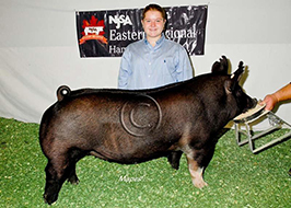 NJSA Eastern Regional Results