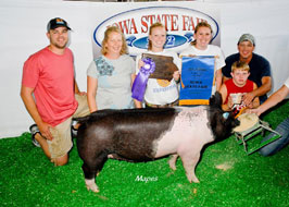 Iowa State Fair Show Pig Results