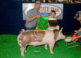 Iowa State Fair 4-H Pig Show Results