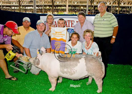 Iowa State Fair 4-H Pig Show Results