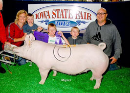 Iowa State Fair 4-H Pig Show Results