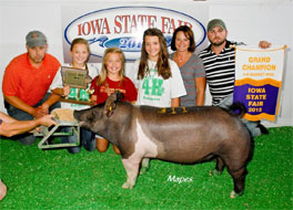 Iowa State Fair 4-H Market Hog Results