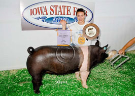 Iowa State Fair 4-H Pig Show Results