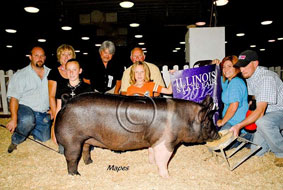 Illinois State Fair Show Pig Results