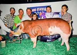 Illinois State Fair Show Pig Results