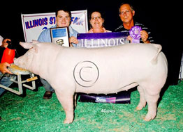 Illinois State Fair Show Pig Results