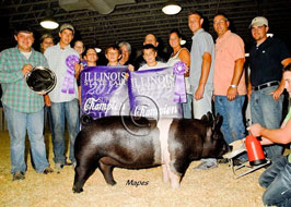 Illinois State Fair Show Pig Results