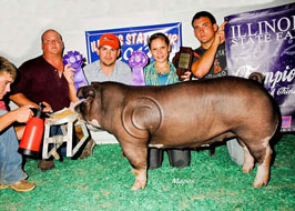 Illinois State Fair Show Pig Results