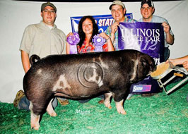 Illinois State Fair Show Pig Results