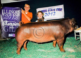 Illinois State Fair Show Pig Results