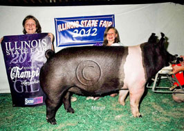 Illinois State Fair Show Pig Results