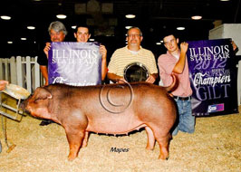 Illinois State Fair Show Pig Results