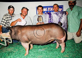 Illinois State Fair Show Pig Results