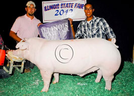 Illiinois State Fair Barrow Show Results
