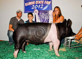 Illiinois State Fair Barrow Show Results