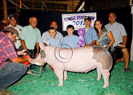 Illiinois State Fair Barrow Show Results