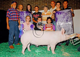 Illiinois State Fair Barrow Show Results