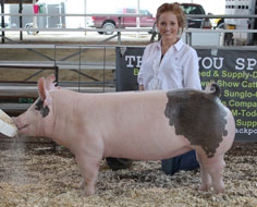 Champion Gilt