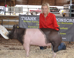Reserve Gilt