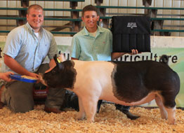 Cass County Jackpot Show Winner